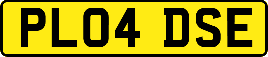 PL04DSE