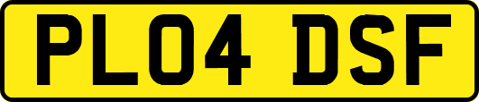 PL04DSF