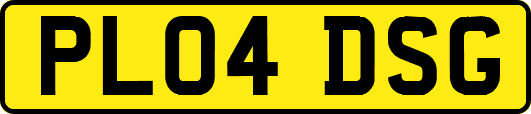 PL04DSG