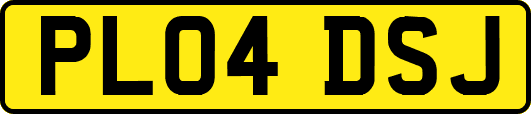 PL04DSJ