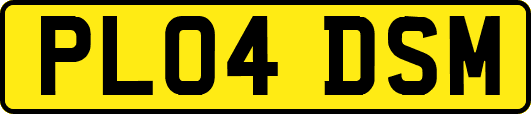 PL04DSM
