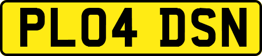 PL04DSN