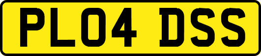 PL04DSS