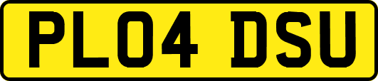 PL04DSU