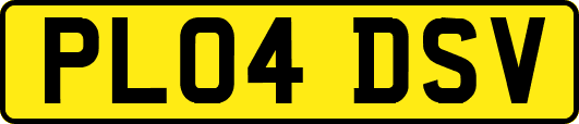 PL04DSV
