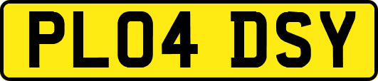 PL04DSY