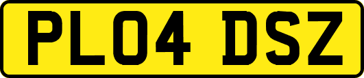 PL04DSZ