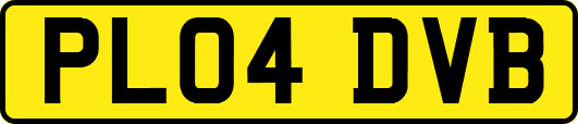 PL04DVB