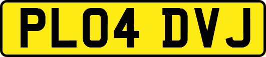 PL04DVJ