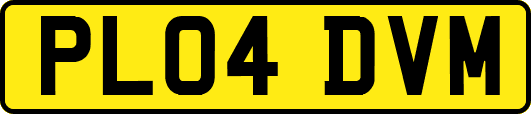 PL04DVM