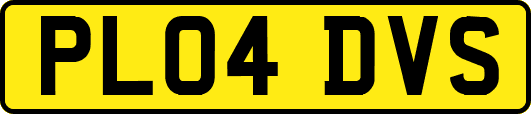 PL04DVS