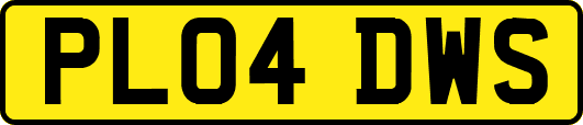 PL04DWS