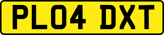 PL04DXT