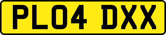 PL04DXX