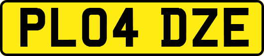 PL04DZE