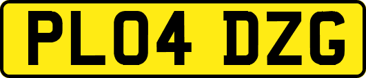 PL04DZG