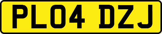 PL04DZJ