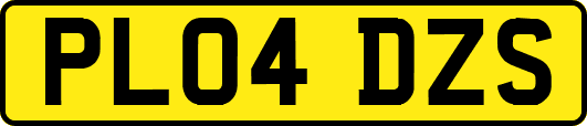 PL04DZS