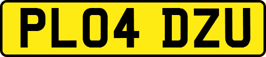 PL04DZU