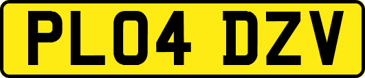 PL04DZV