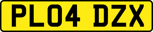 PL04DZX