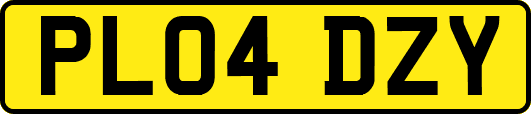 PL04DZY