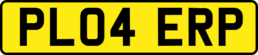 PL04ERP