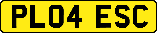 PL04ESC
