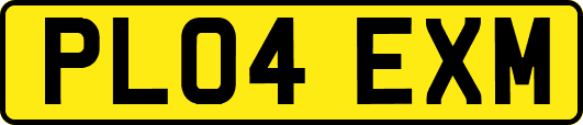 PL04EXM