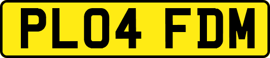 PL04FDM