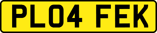 PL04FEK