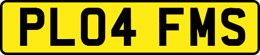 PL04FMS