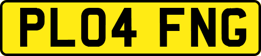 PL04FNG