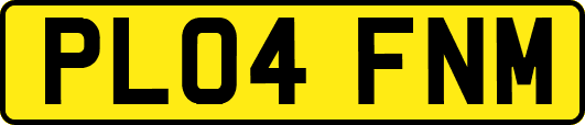 PL04FNM
