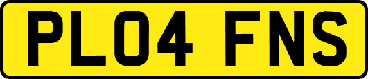 PL04FNS