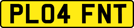 PL04FNT
