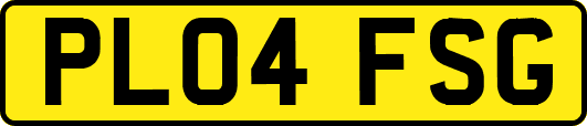PL04FSG