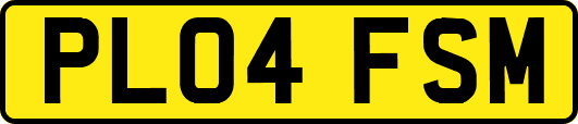 PL04FSM
