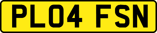PL04FSN