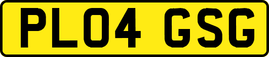 PL04GSG