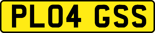 PL04GSS