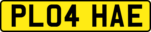 PL04HAE