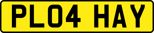 PL04HAY