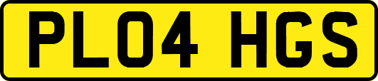 PL04HGS