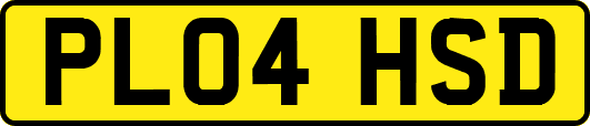 PL04HSD