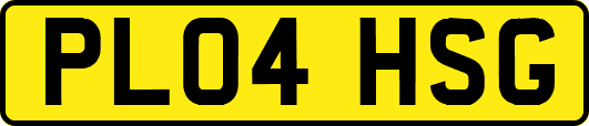 PL04HSG