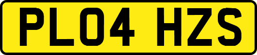 PL04HZS