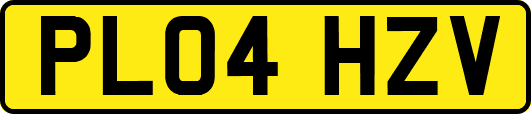 PL04HZV