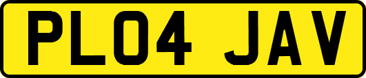PL04JAV