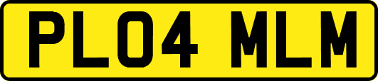 PL04MLM